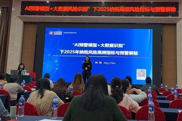 深化AI与大数据应用，精准防控2025纳税风险